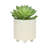S/2 6/8" Textured Planters, Shiny White-596816752