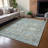 Machine Washable Indoor/Outdoor Chantille ACN2485 Global Rug-1060133328-1060133338