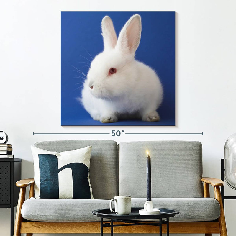 Crowle White Bunny On Blue, 33" H x 33" W