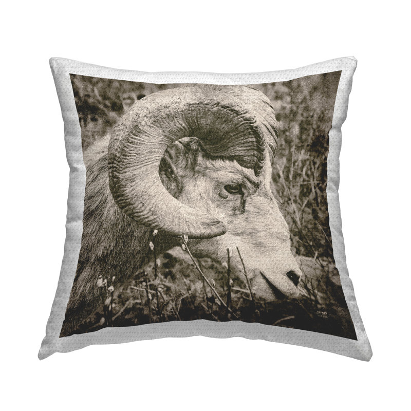 Housse et insert de coussin décoratif en polyester