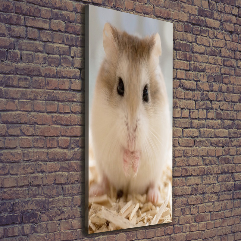 Hamster - Wrapped Canvas Print