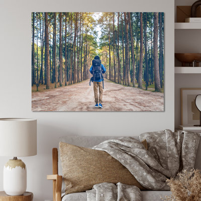 " Wilderness Forest Hike "