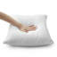 Dardel Velvet Scatter Cushion Cover-1607863409