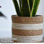Nara Pot Planter
