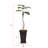 78'' Faux Philodendron Plant in Fiberstone Planter