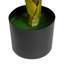 120cm Plant