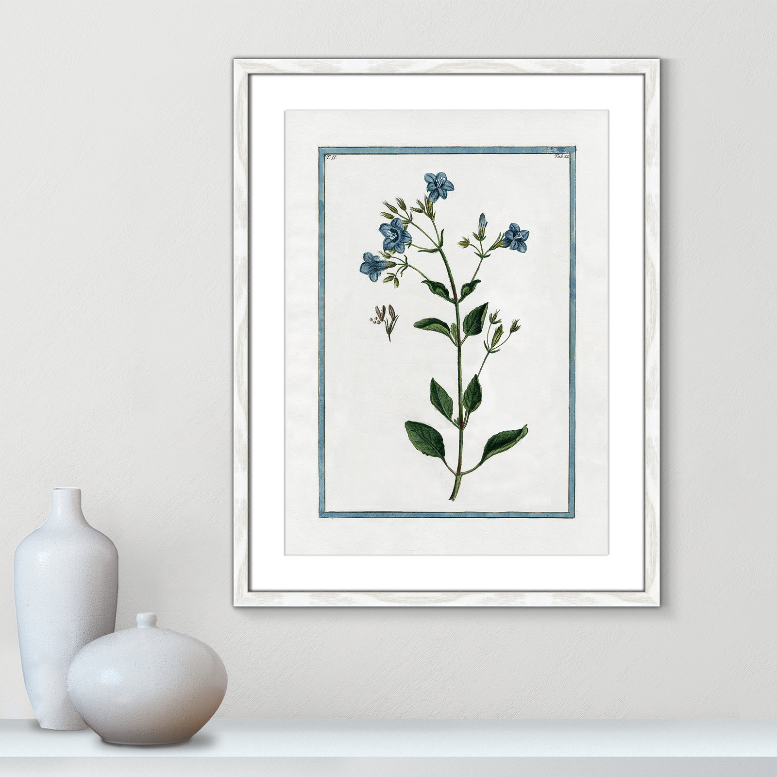 Shabby Elegance Botanical II - Framed Art, 17" W x 23" H, White Framed