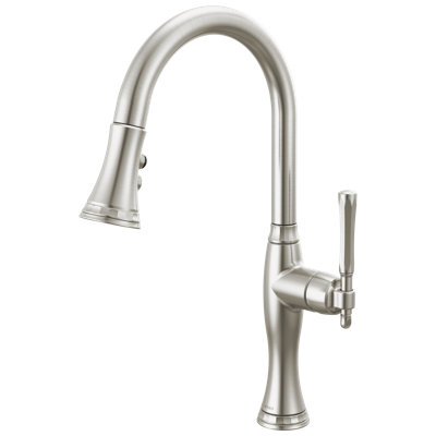 Pull-Down Kitchen Faucet