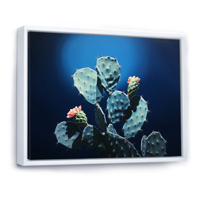 Cactus saphir solitude I sur toile