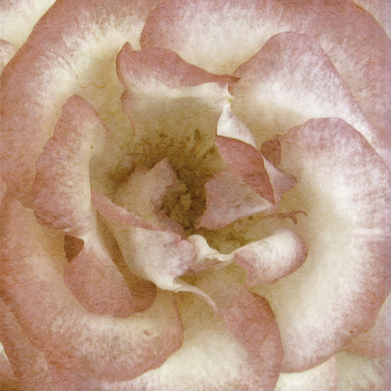 Fleur murale VI, H 30 po x l 30 po x P 1,25 po