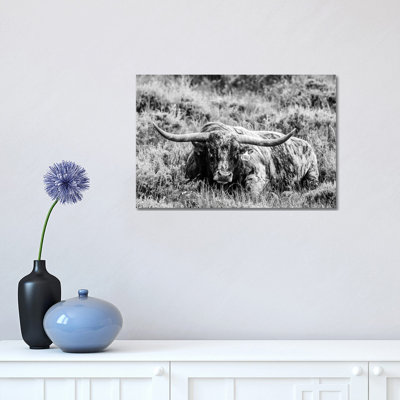 B&W Longhorn III 1 Piece Wrapped Canvas Wall Art