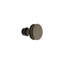 Carriage Bronze Round Knob-56414371