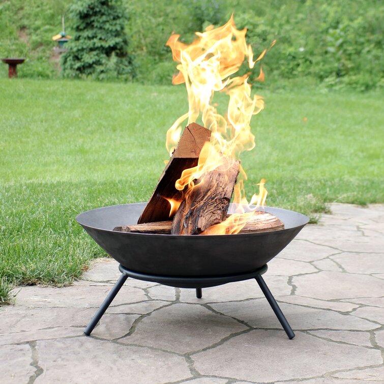 https://assets.wfcdn.com/im/22605768/resize-h755-w755%5Ecompr-r85/5652/56521659/Eckard+Raised+Cast+Iron+Wood+Burning+Fire+Pit.jpg