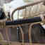 Photos des clients 3 de 5