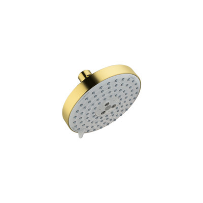 Raindance Air Three Jet Rain Shower Head