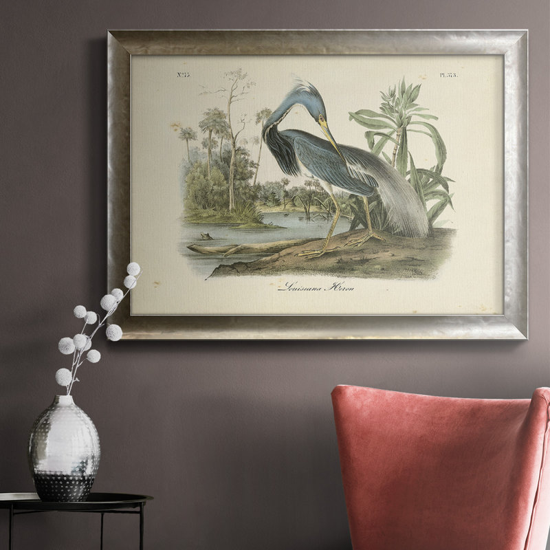 Audubons Louisiana Heron - reproduction d'art sur toile, H 16 po x l 20 po x P 2,5 po