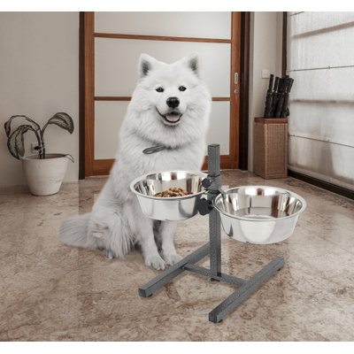Dinahlee Anti-Skid Elevated Feeder