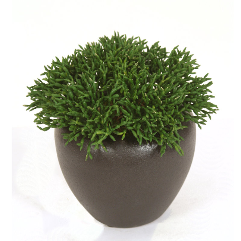 Cèdre artificiel 9 po en pot