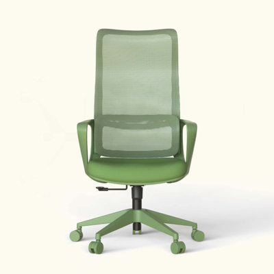 Ergonomic Colorful Office Chair 350LBS Home Office Mesh Breathable High Back, With Adjustable Lumbar Support Computer Chair, Integrated Molded Foam Se