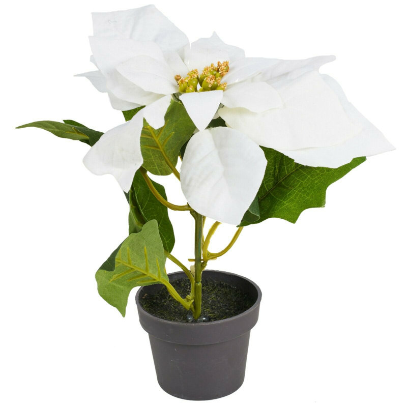 20cm Faux Flowering Plant in Pot, White
