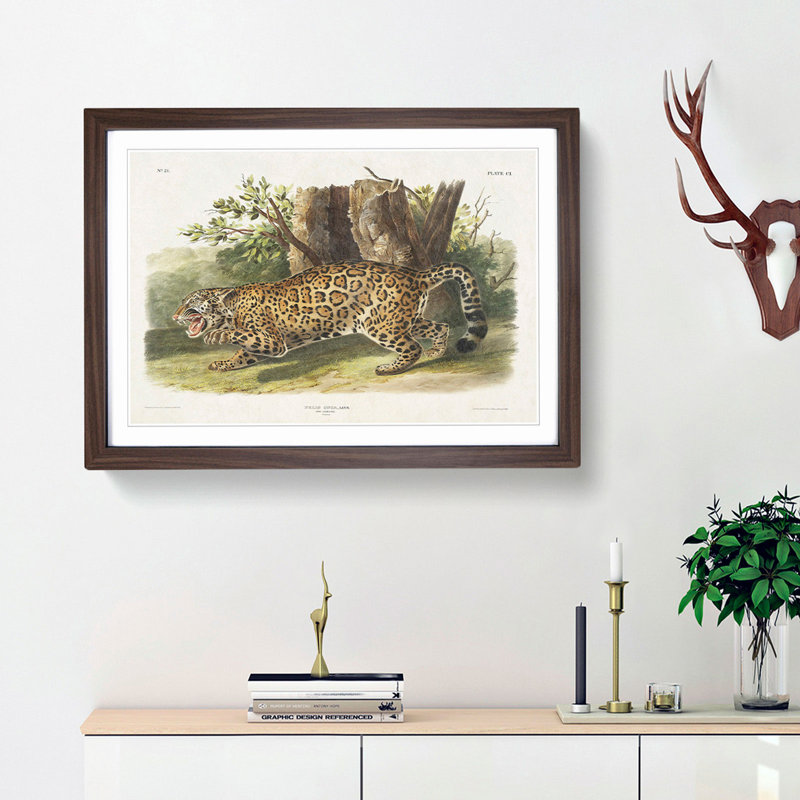 Jaguar by J.W. Audubon - Framed Print, 48cm H x 65cm W x 2cm D, Walnut Framed
