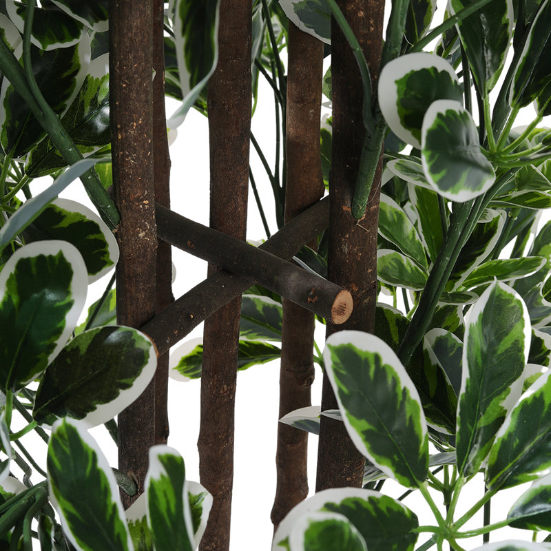 160 cm H Faux Plant in Plastic