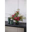 Foret Pot 4,75 po x 4,75 po