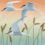 « free as a oiseau ii », reproduction d’impression sur toile tendue-27698473-72453975