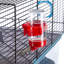 Hamster Cage