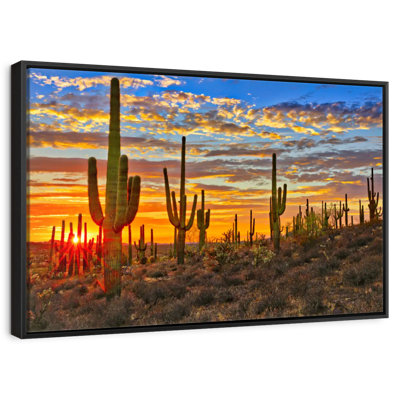 Cactus coucher de soleil