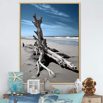 Yeal " Beach Driftwood Photo II "