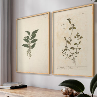 "Vintage Floral XIX" 2 pièces sur papier