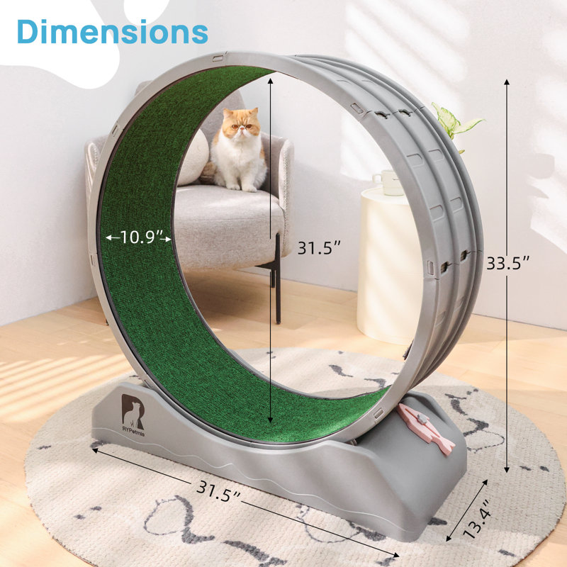 Roue d'exercice pour chat 33,5 "sans bruit, Gris