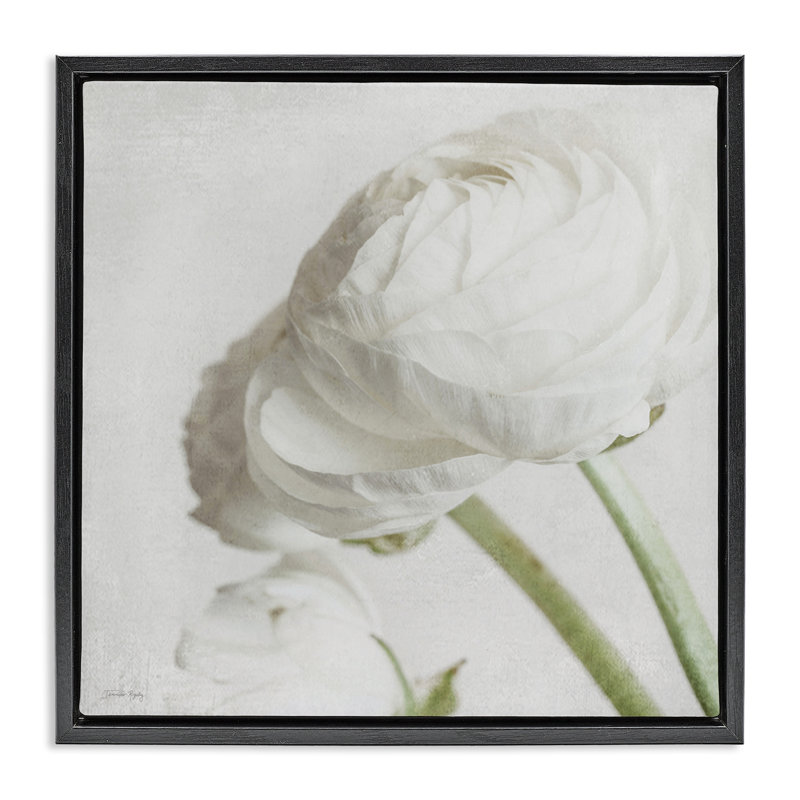 Charmante pivoine blanche encadrée par Jennifer Rigsby, Cadre flottant noir de jais, H 18 po x l 18 po