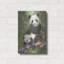 «Panda Paradise» par William Vanderdasson-101450433