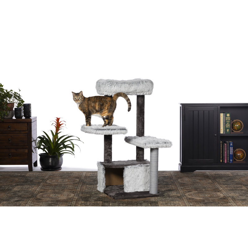 Condo dépolie 43" kitty power pattes Hearns