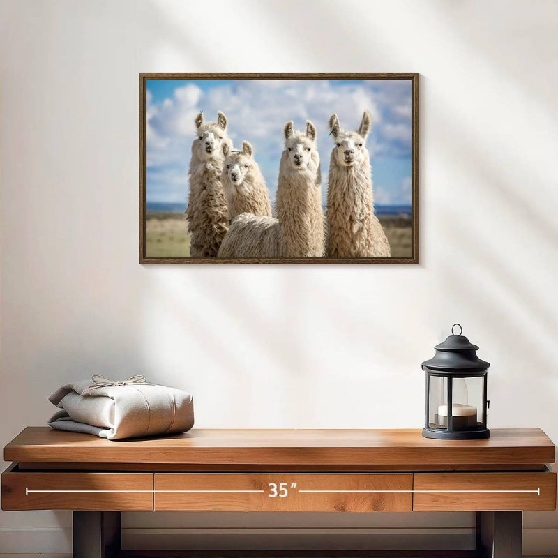 Lamas blancs moelleux, 19 po x 13 po, Cadre flottant en noyer