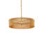 4 - Light Drum LED Chandelier