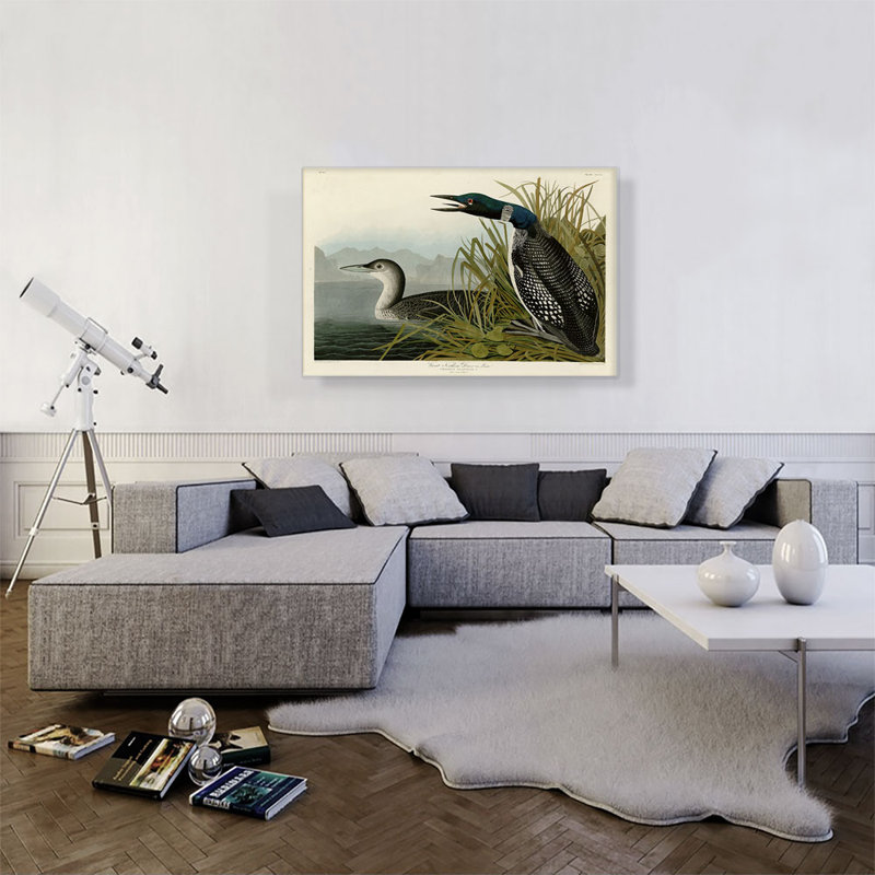 «Great Northern Diver Loon» par James Audubon, reproduction d'art sur toile tendue, H 26 po x l 40 po x P 0,75 po