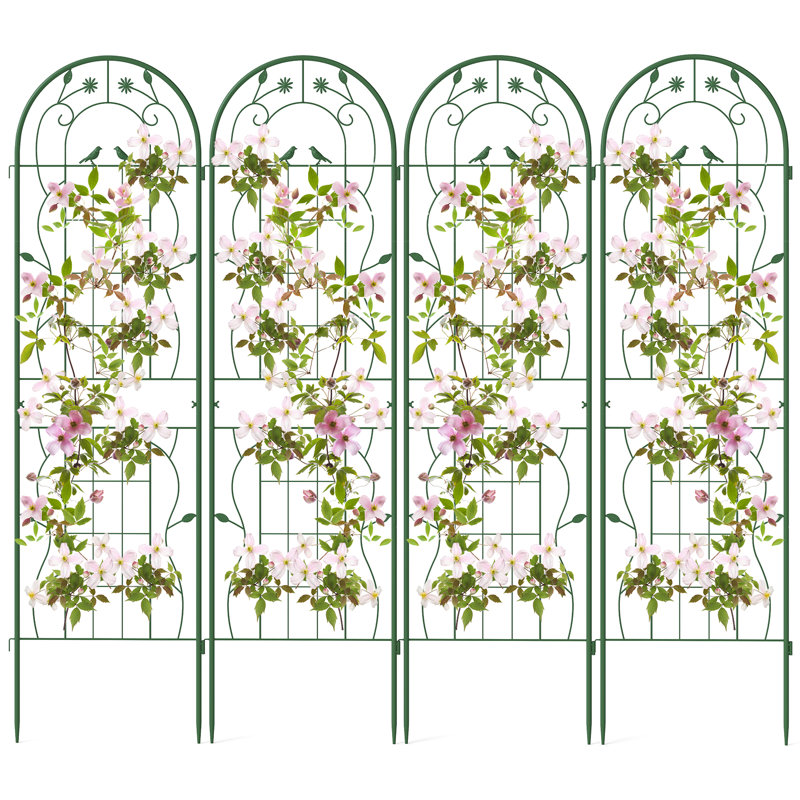 180cm W Metal Arched Trellis