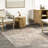Britt Medallion Spill Proof Machine Washable Area Rug for Living Room Bedroom Dining Room Kitchen-1437226122