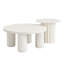 Ensemble de 2 tables basses modernes avec pieds cylindriques et 1 table de bout pour le salon Modern