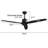 Mucip 59.8'' Ceiling Fan