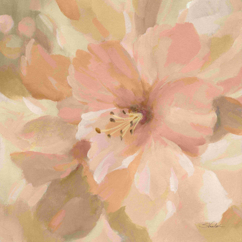 «Sweet Boho Flower II» par Silvia Vassileva, peinture sur toile tendue, Toile avec cadre flottant noir, Non