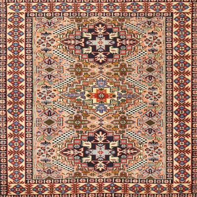 Oriental Indoor Rug