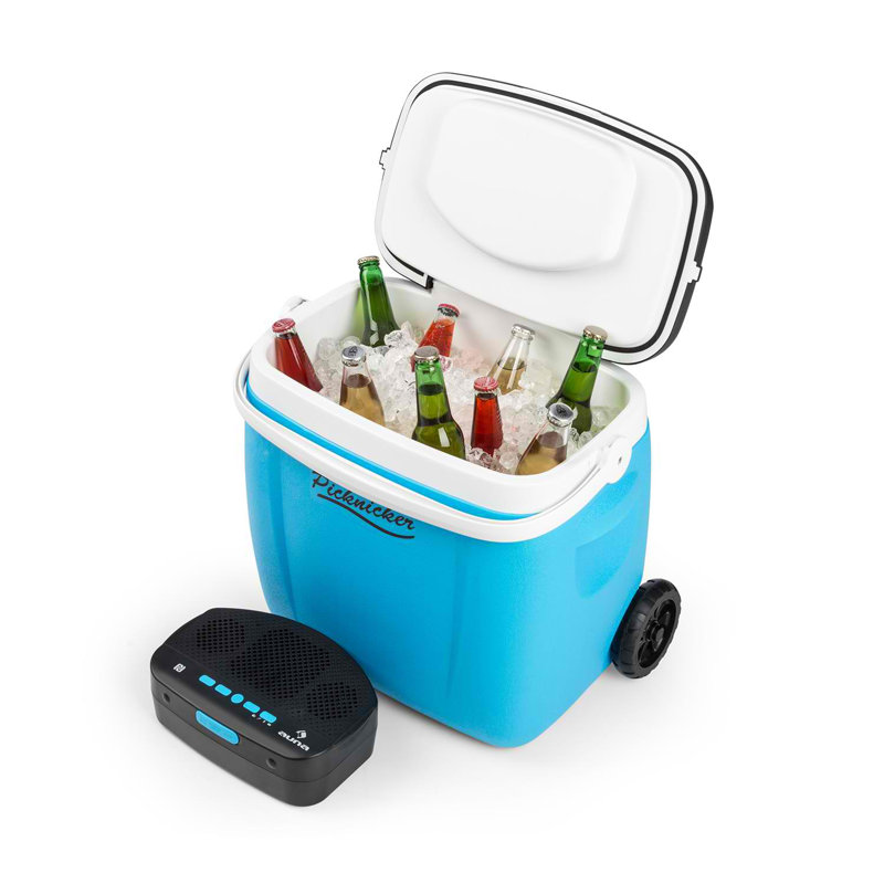 Auna Picknicker Music Trolley Cooler, Blue