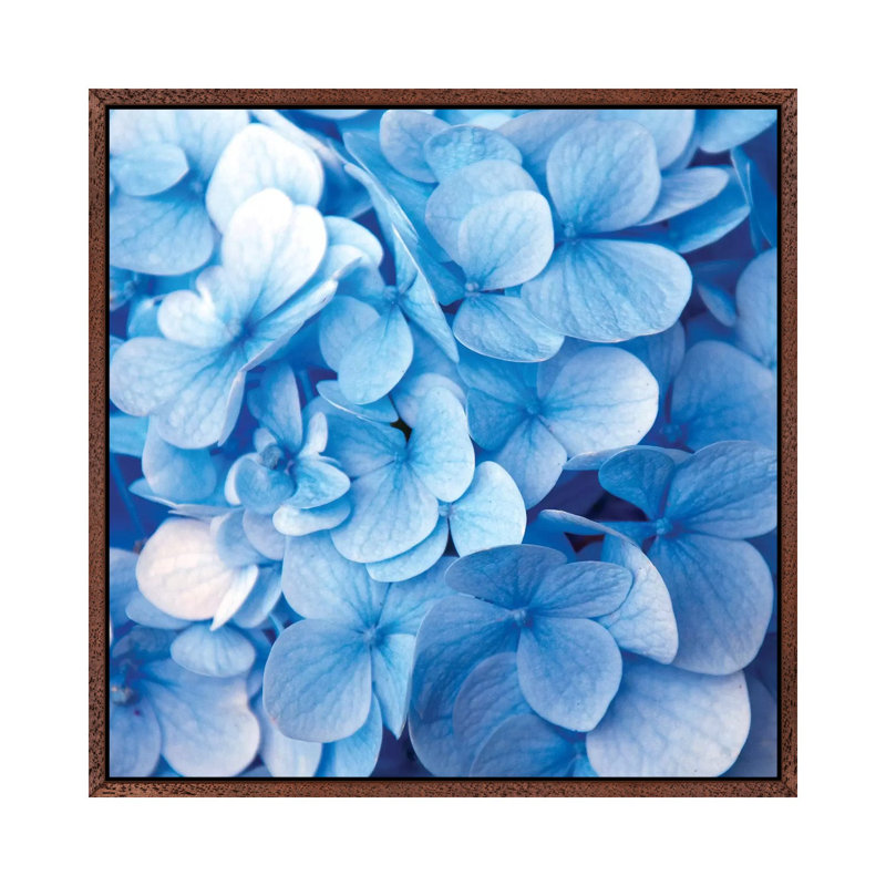 Blue Flowers - Print on Canvas, 93.98 cm H x 93.98 cm W, Brown Framed