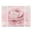 Ensemble de 3 panneaux Cora Niele «Stylisch Rose Pink»-943807416