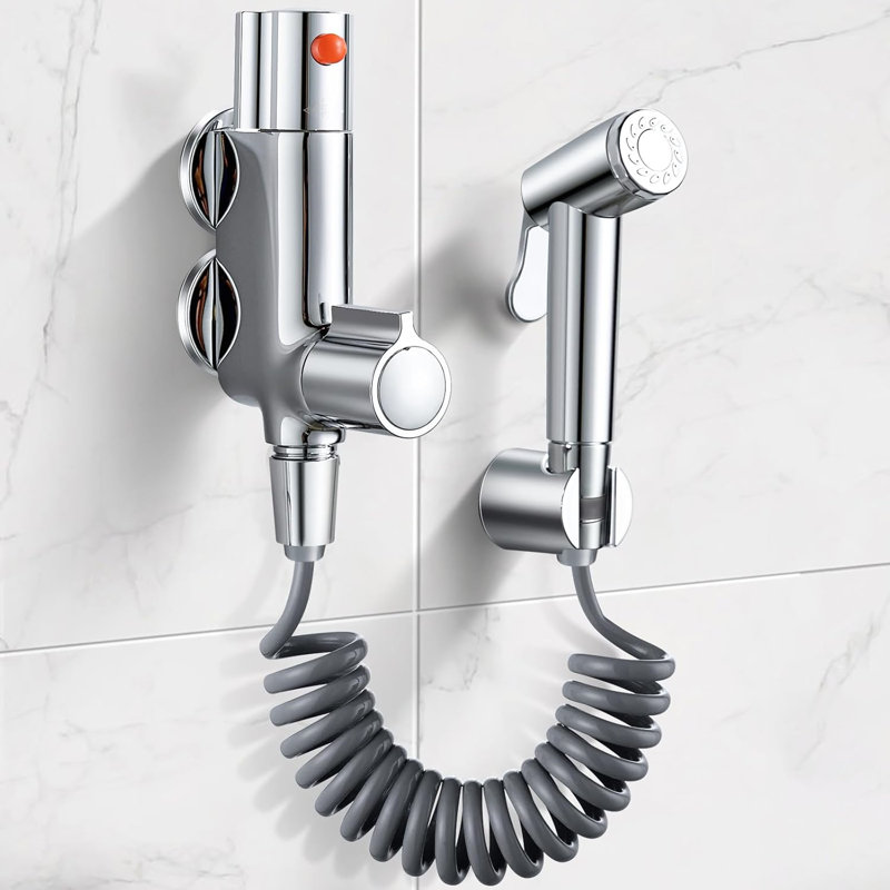 Thermostatic Bidet With Handheld Sprayer,Chrome,Silver