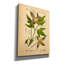 Epic Graffiti 'Atragene Alpina'  by Art Licencing Studio Canvas Wall Art, 26" x 34"-109177114